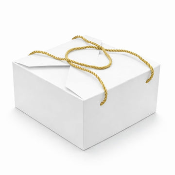 White Gift Box Bags with Handle, Pack of 10